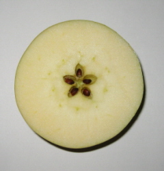 apple